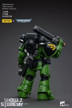 JoyToy Source 1/18 Warhammer 40K Salamanders Intercessors Brother Haecule -Show.Z Toys Deals Store 3420fa5575