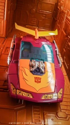 Wild Kids Display Bases 10 Pieces & 2 Robotic Arms & 18 Connector (Orange, Purple) 16 Wild Kids Display Bases 10 Pieces & 2 Robotic Arms & 18 Connector (Orange, Purple) -Show.Z Toys Deals Store 8bb560ffba