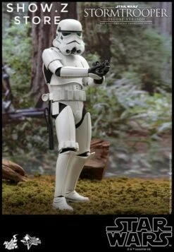 Hot Toys 1/6 Stormtrooper Storm Trooper MMS515 Star Wars Deluxe Version -Show.Z Toys Deals Store cbf58be6a8